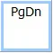 PgDn Button