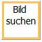 Bild suchen Button