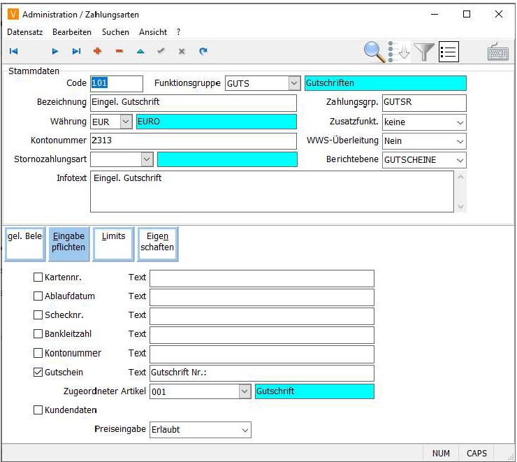 Zahlungsarten Eingabepflichten Maske