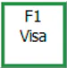 F1 Visa Button