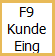 F9 Kunde Eing Button